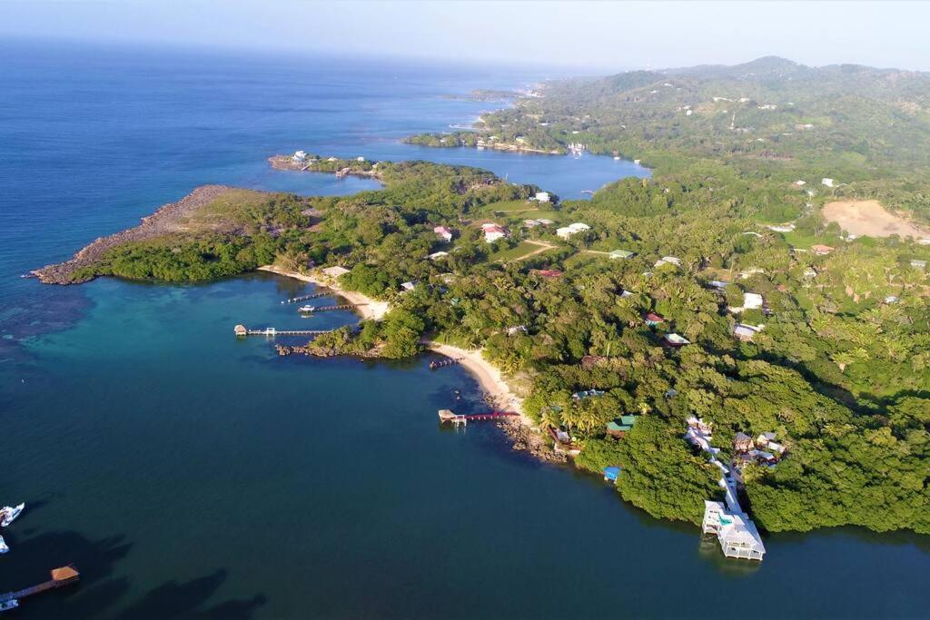 The Dock Resort Over Water Retreat West End Exterior photo